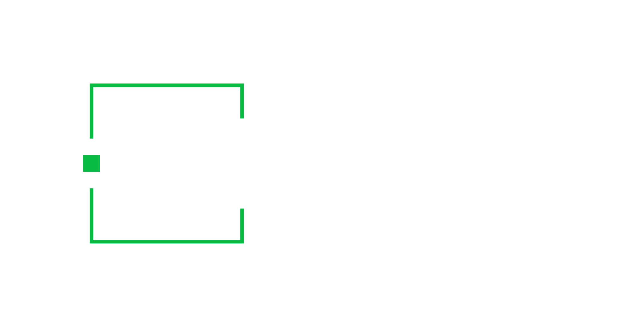 The BitLeaf